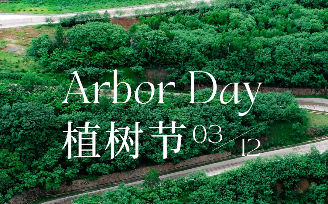 植树节 | 多盈体育【中国】的绿色画卷
