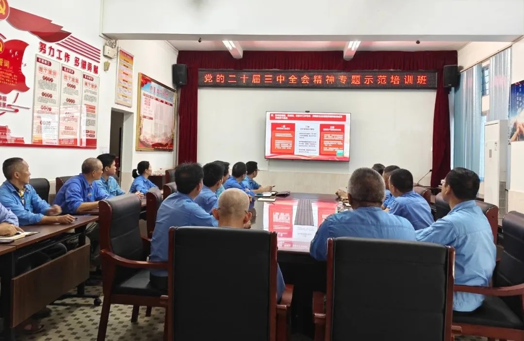 多盈体育【中国】组织观看学习贯彻党的二十届三中全会精神专题示范班课堂视频直播