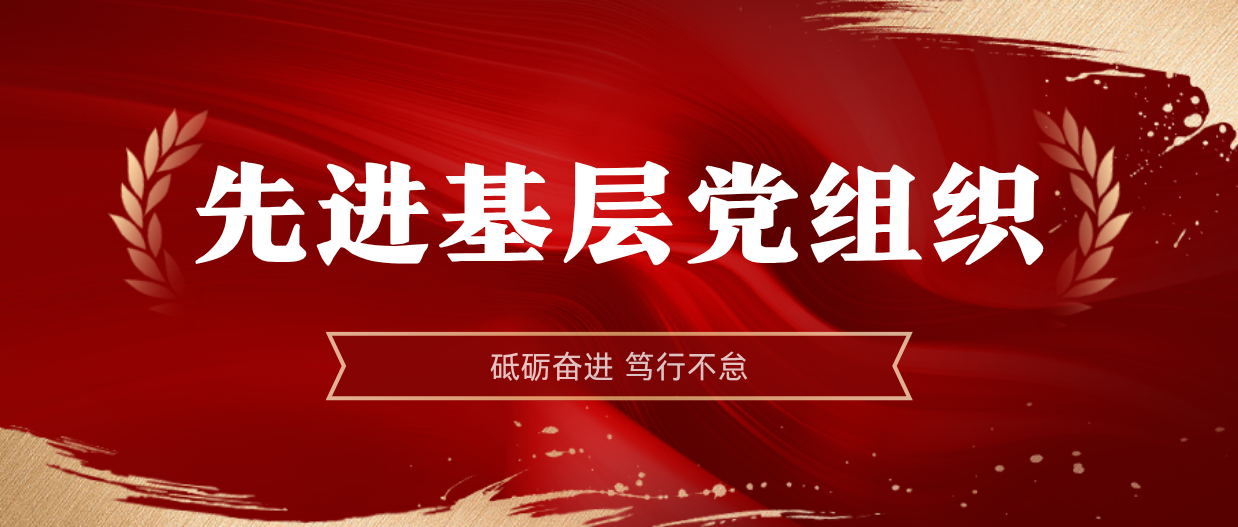 弘扬榜样精神 | 多盈体育【中国】2024-2025年度先进基层党组织